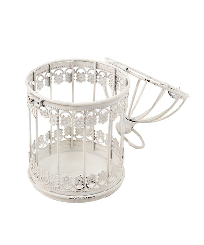 鳥籠 vieille beauté