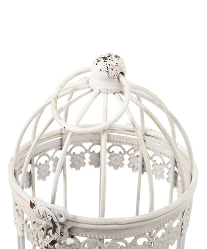 鳥籠 vieille beauté