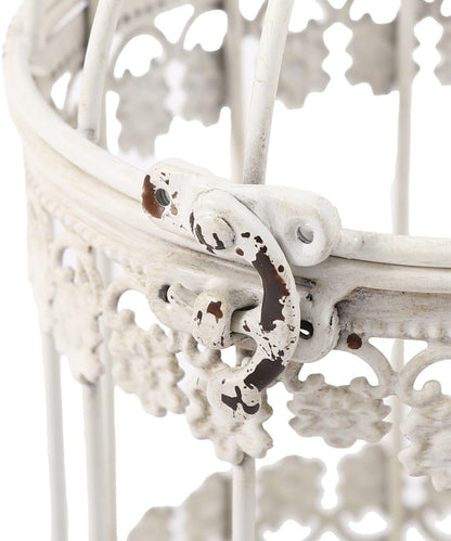 鳥籠 vieille beauté