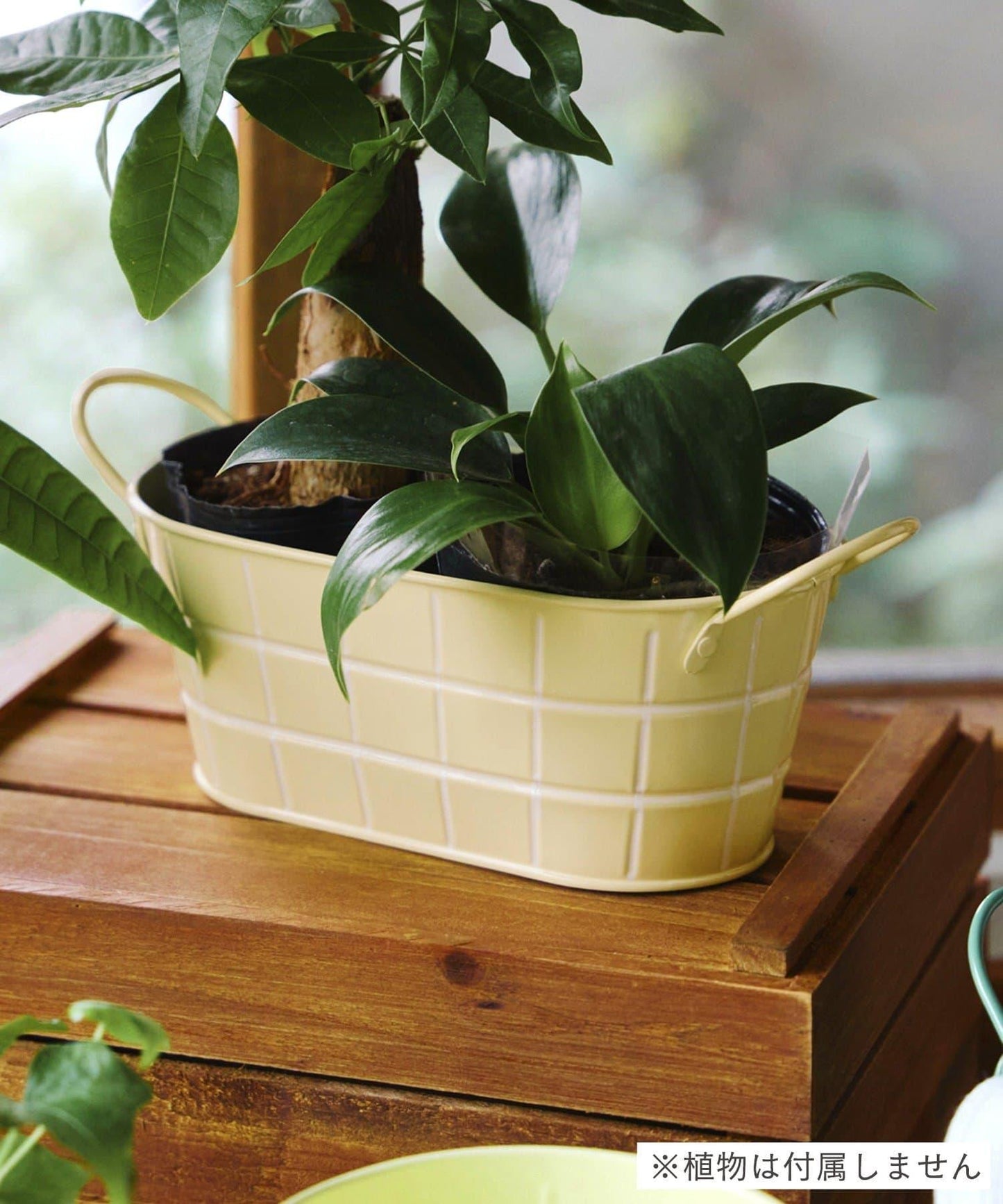 瓷磚圖案 橢圓形 馬口鐵 收納籃