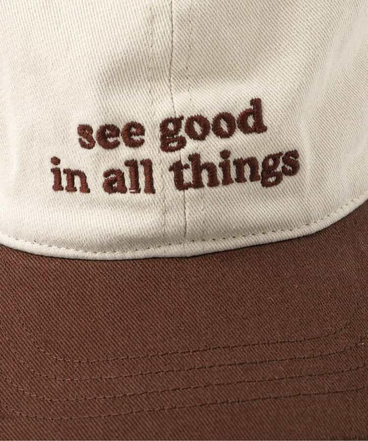 刺繡字母標識設計 棒球帽