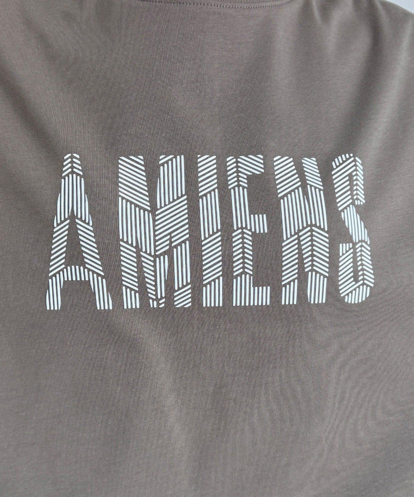 【WEB限定】AMIENESロゴTEE