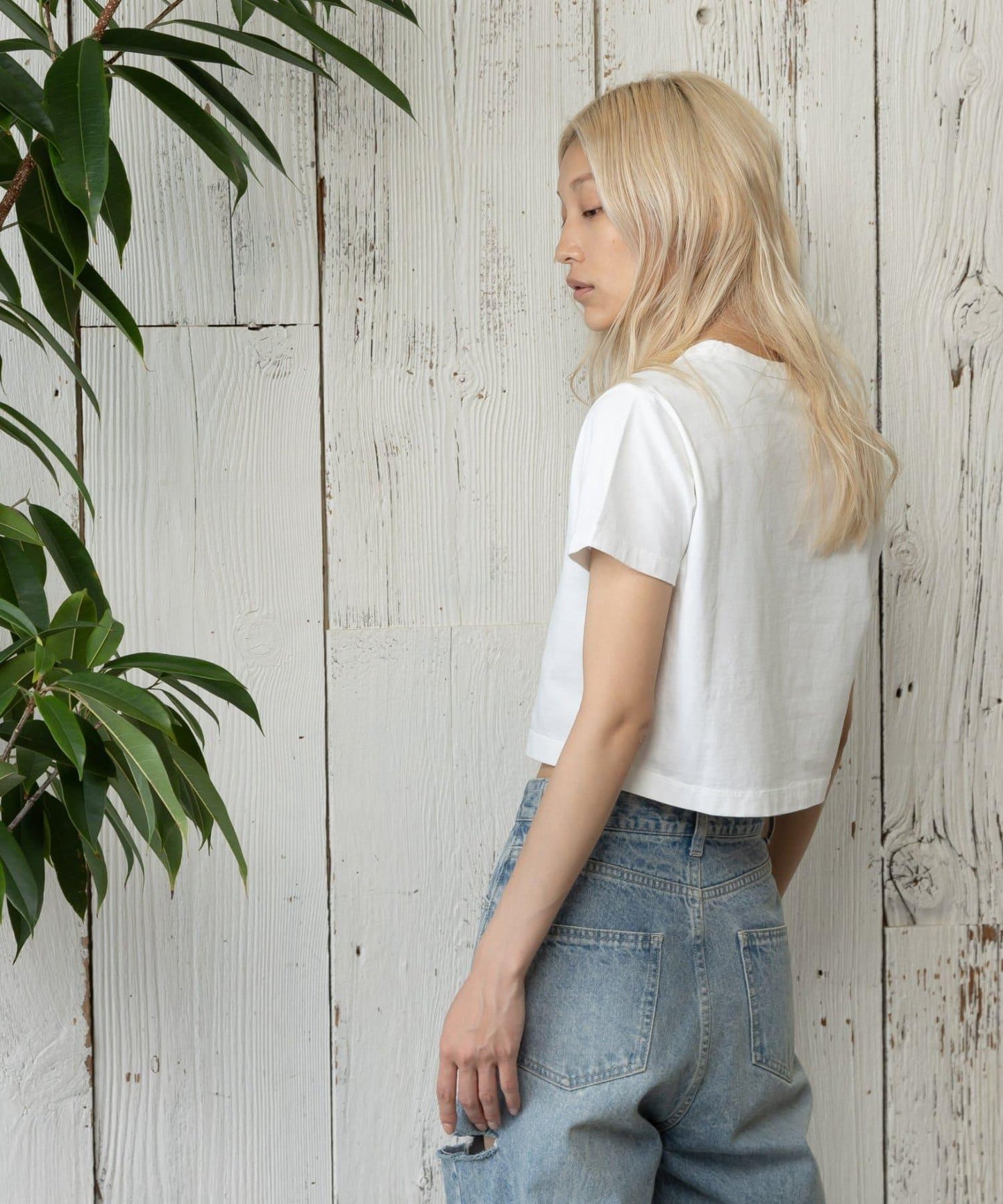 paradigm 天竺針織 緊湊款 コンパクトTWS T恤