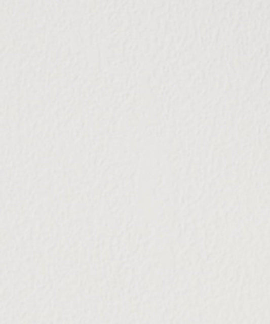 網紗透膚T恤
