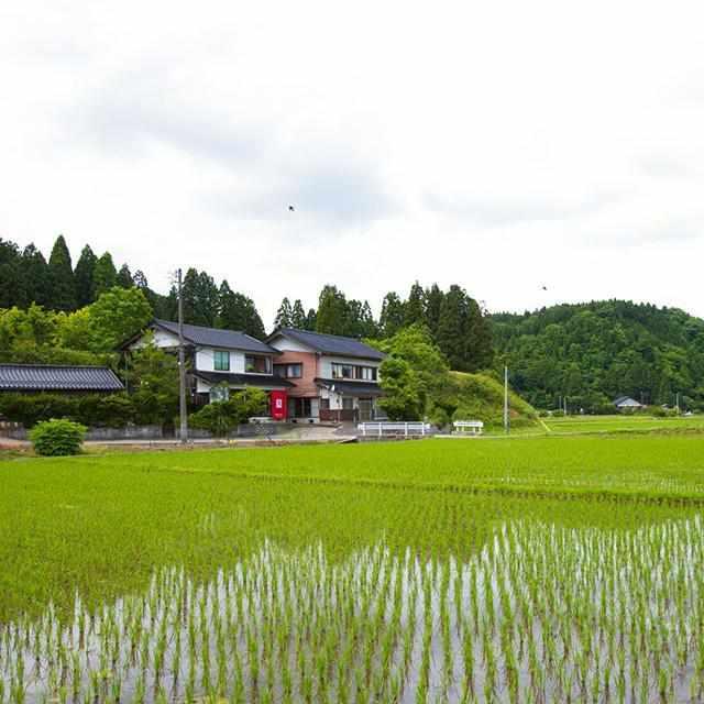 【輪島塗】楽 KOKEMUSU 片口