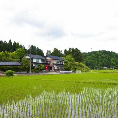 【輪島塗】楽 KOKEMUSU おちょこ・ぐい吞