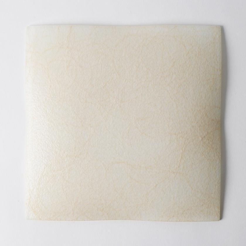 【皿2枚セット】角皿 22cm 100金 & 銀 | 西陣織 | 江村商店