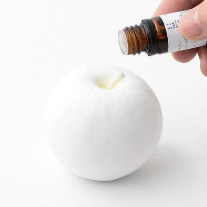 【アロマ】AROMA STONE りんごセット | 波佐見焼 | 西海陶器