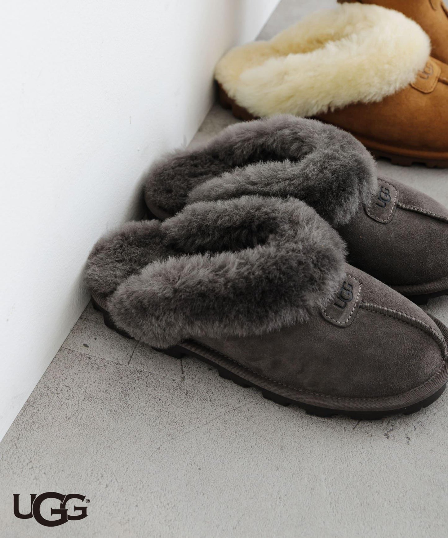 UGG COQUETTE