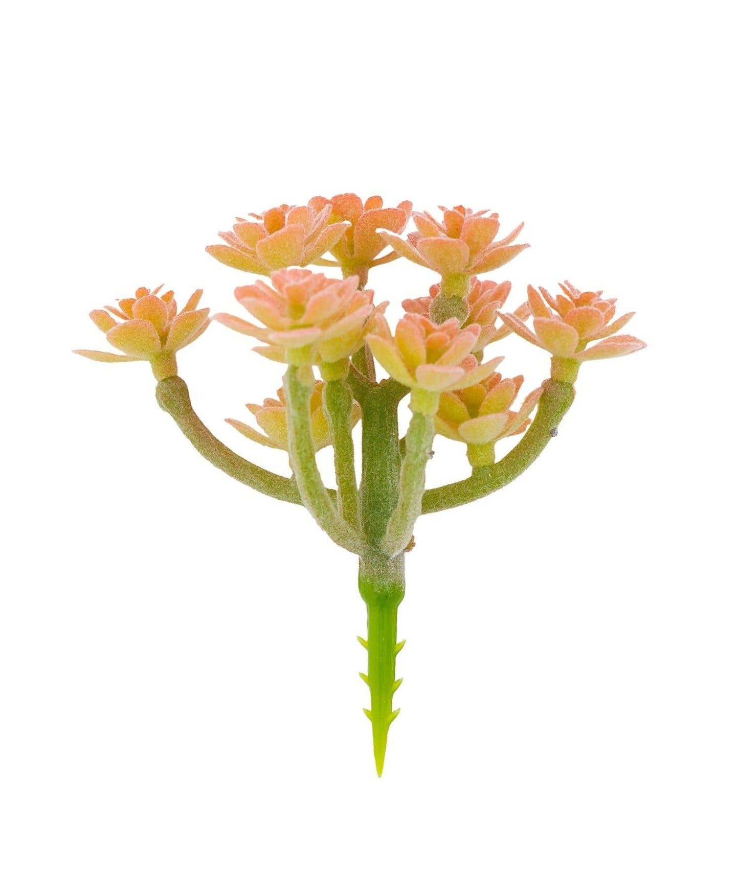 仿真多肉植物插枝