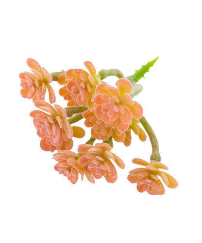 仿真多肉植物插枝