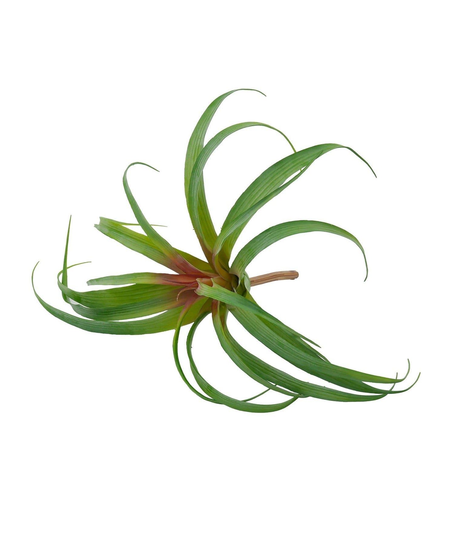 仿真空氣鳳梨 L號 仿真植物