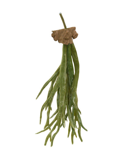 仿真鹿角蕨 仿真植物 L款