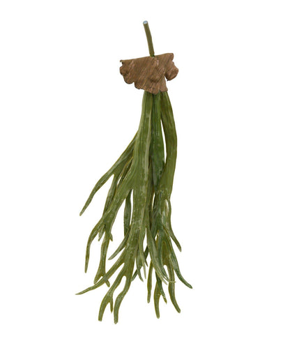 仿真鹿角蕨 仿真植物 L款
