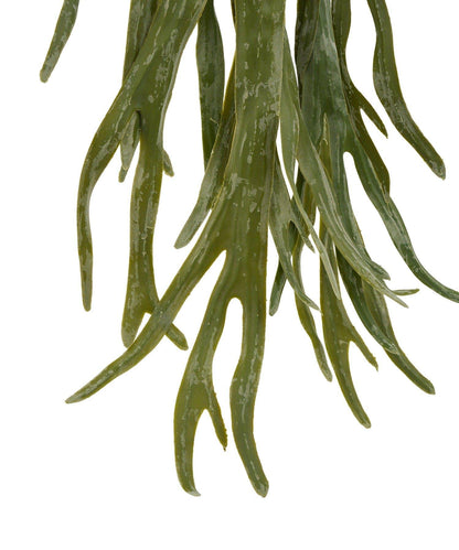 仿真鹿角蕨 仿真植物 L款