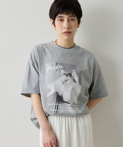 貓咪照片印花 THE PAUSE CAT photo T恤