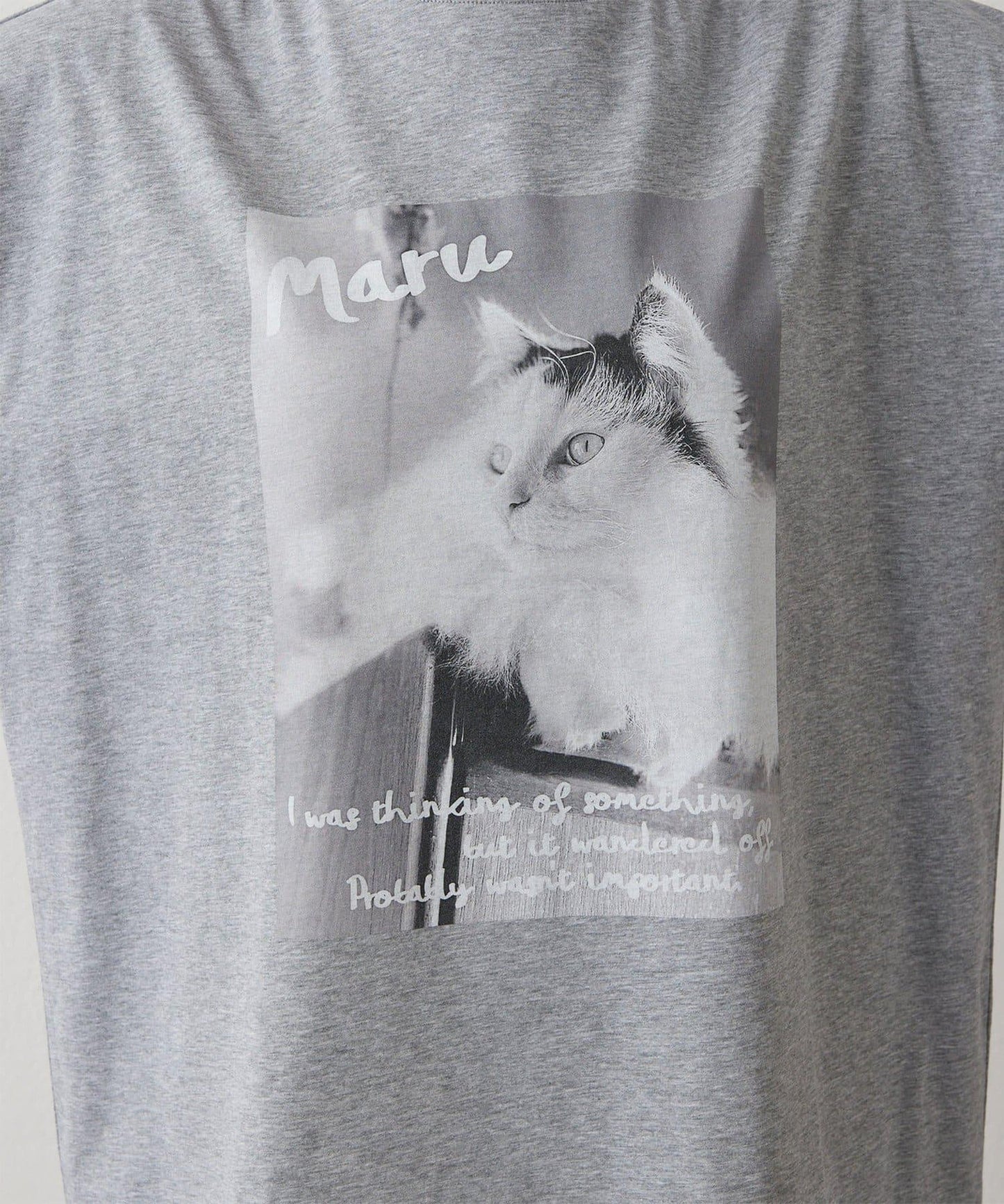 貓咪照片印花 THE PAUSE CAT photo T恤