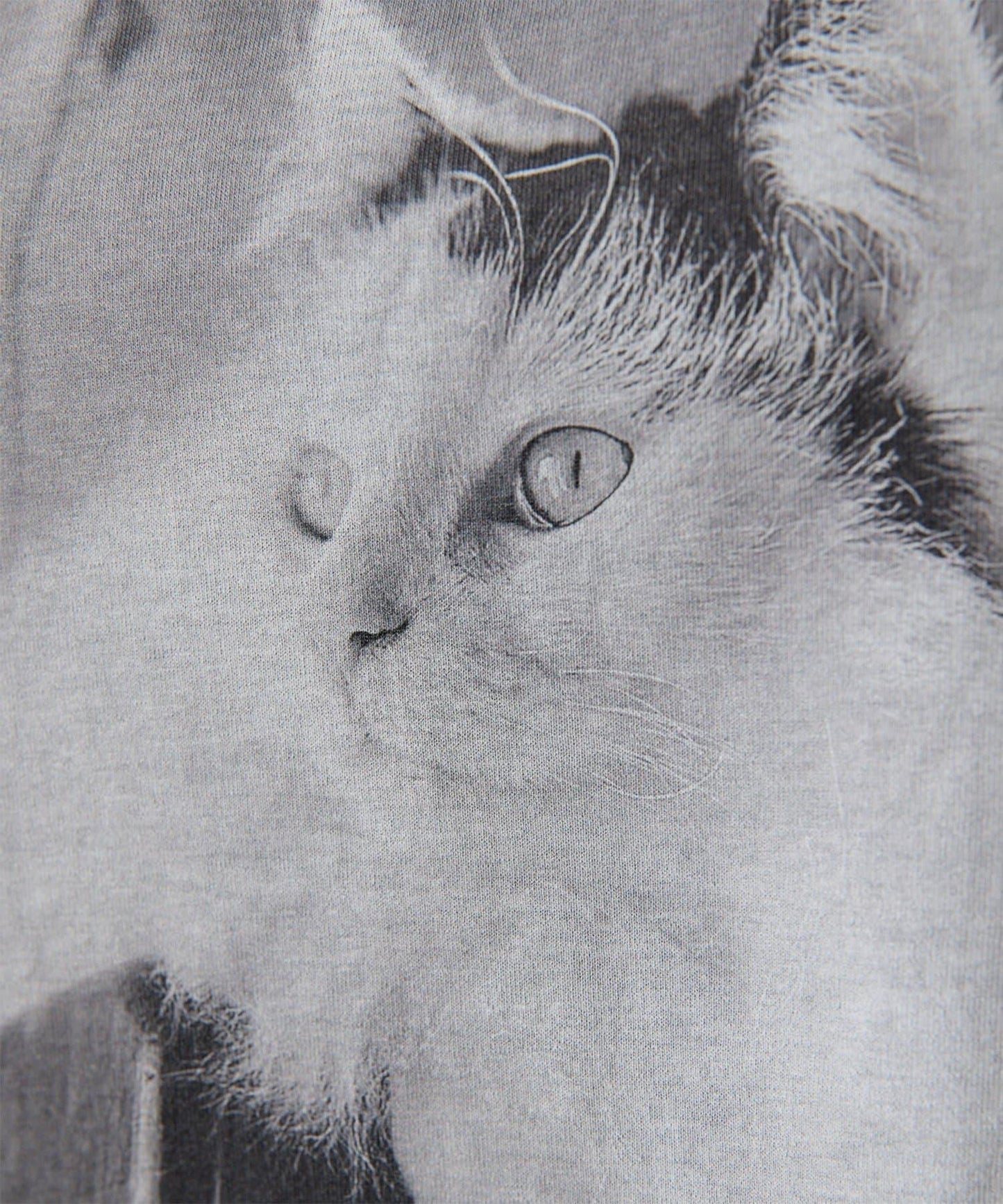 貓咪照片印花 THE PAUSE CAT photo T恤