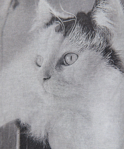 貓咪照片印花 THE PAUSE CAT photo T恤