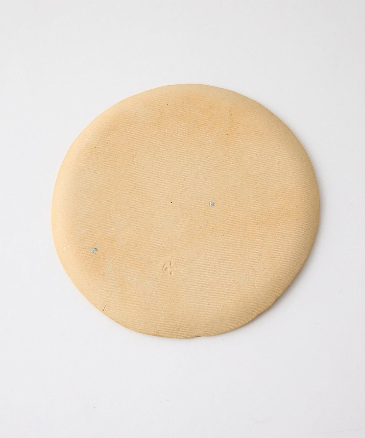 teto ceramics 北極熊櫻花星球圖案 中號陶瓷盤