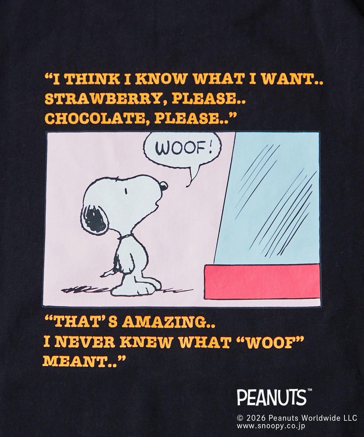 PEANUTS（花生漫畫） T恤 常規設計款