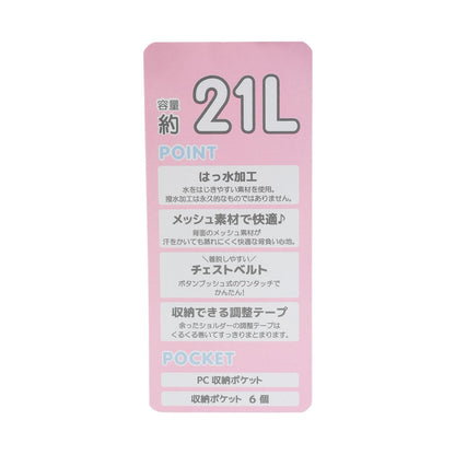 帶收納小包 大約21L容量 雙肩包