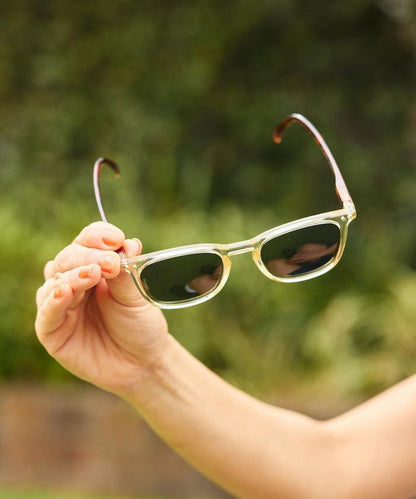 SUN POLARIZED #E 時尚眼鏡
