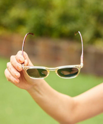 SUN POLARIZED #E 時尚眼鏡