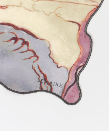 LEM《AIR》E AQUAREL IRREGULIE 圍巾