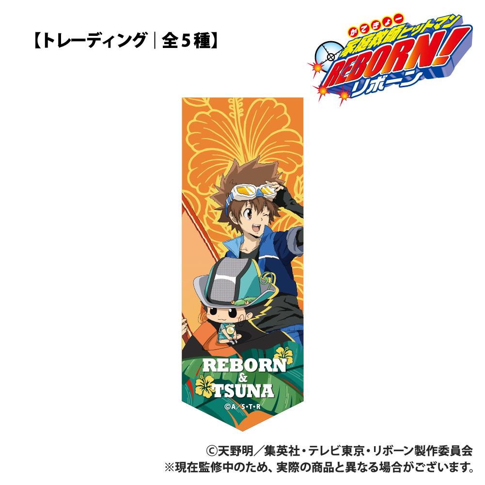 家庭教師HITMAN REBORN!（家庭教師REBORN!） 迷你花彩鑰匙扣 海上運動款 全5種套裝 OPP/5個入