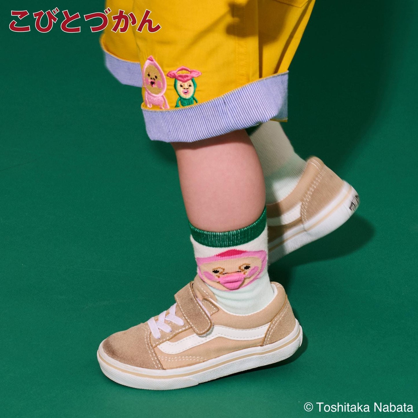 こびとづかん（小人圖鑑） 立體中筒襪