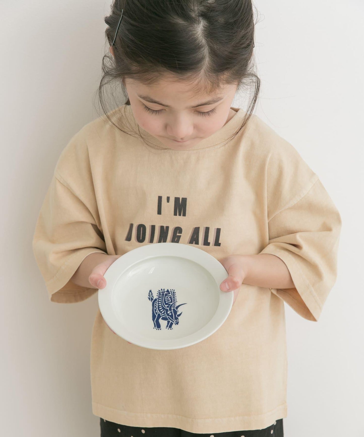 aiyu motte×DinosaUR 盤子