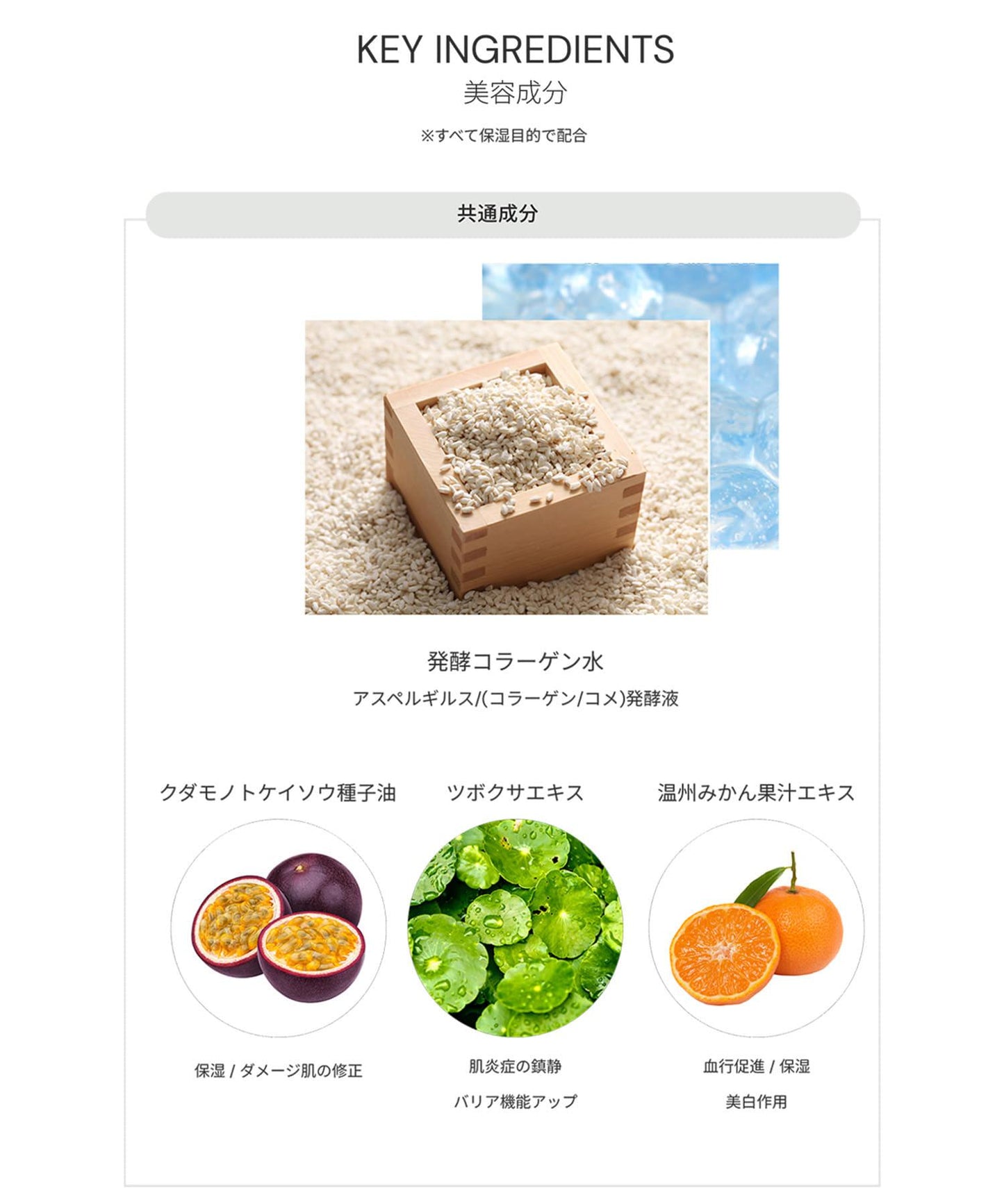 bobe bobe 精華色彩妝前乳