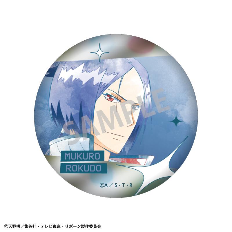 家庭教師HITMAN REBORN!（家庭教師HITMAN REBORN!） 歐若拉徽章系列 徽章 BOX 6個裝