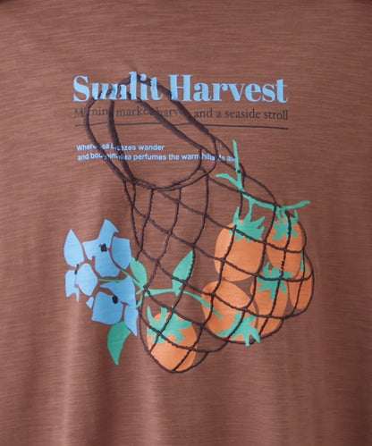 AMALFI 單點刺繡 多樣印花 T恤