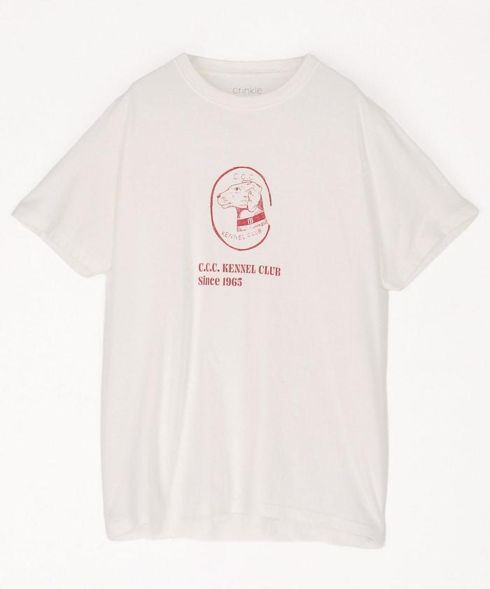2 pack T shirts T恤