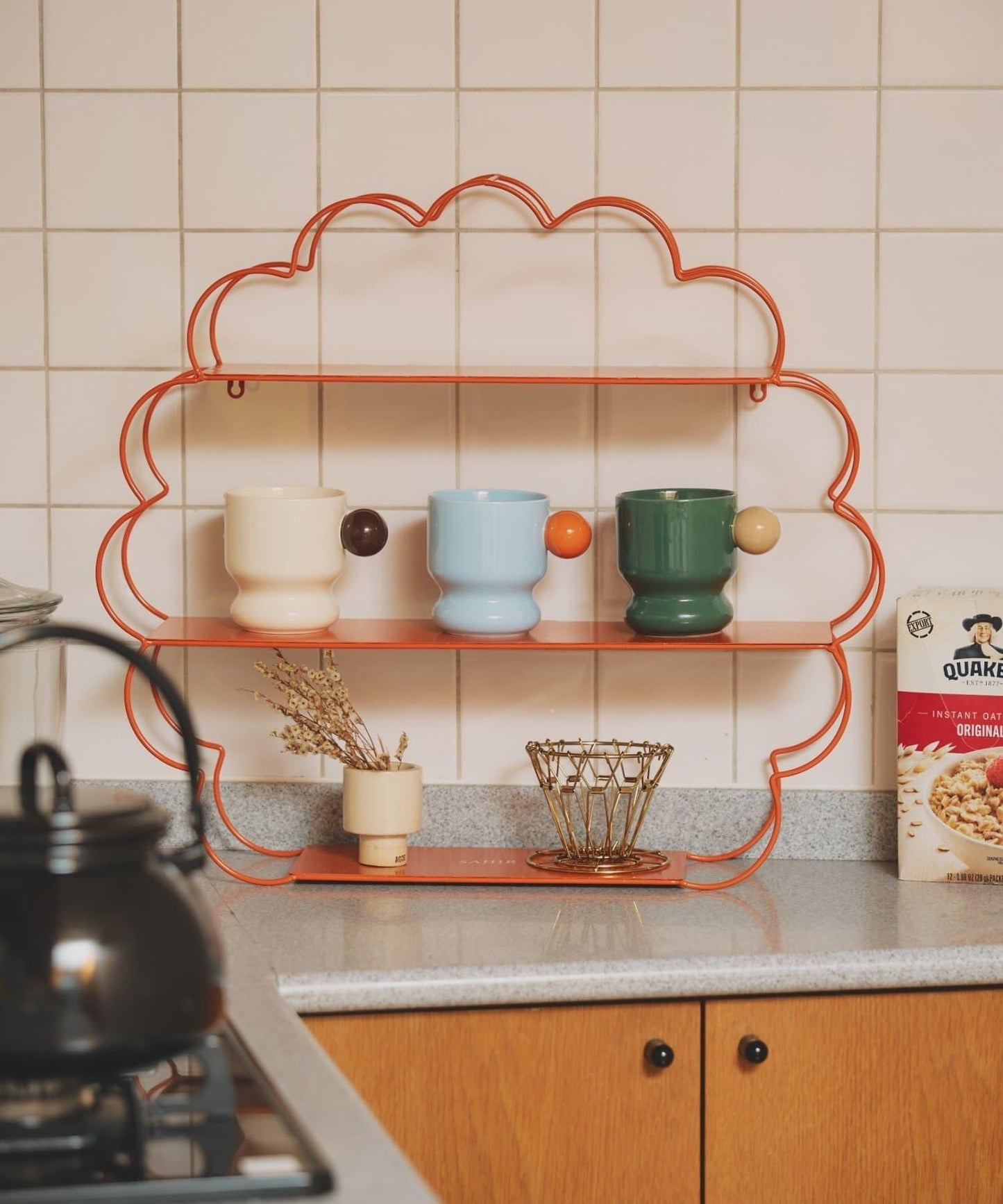 新色 Wall shelf flower SAHIR 壁掛花架