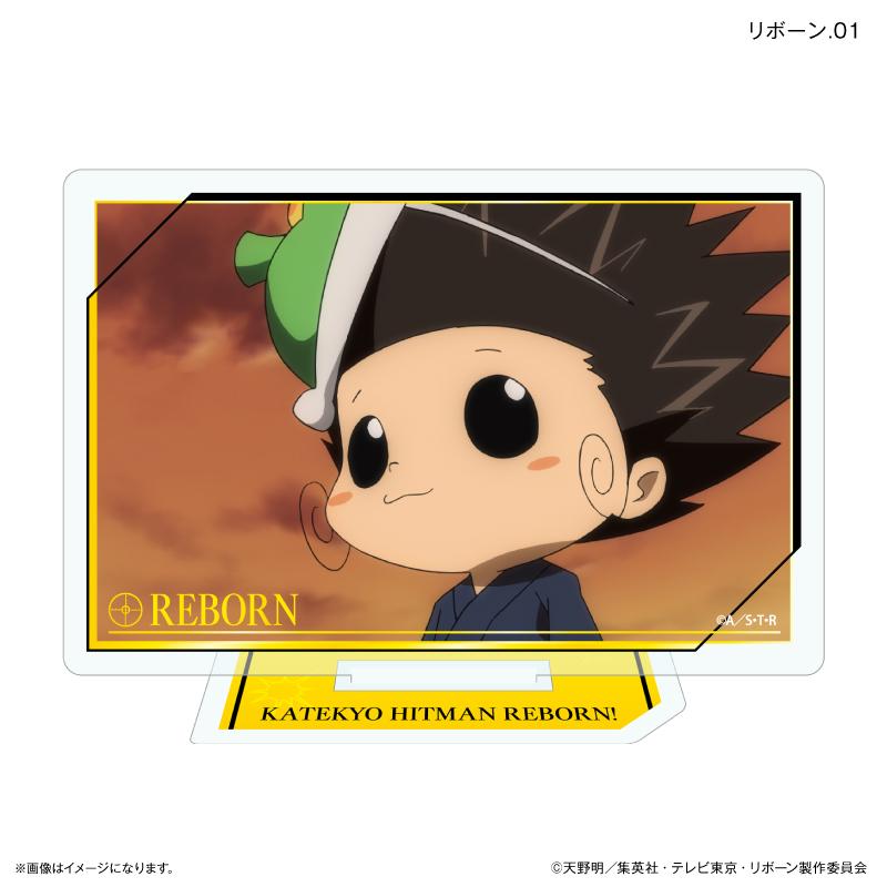 家庭教師HITMAN REBORN!（家庭教師REBORN） 只推系列 亞克力立牌套裝 7個裝收藏BOX