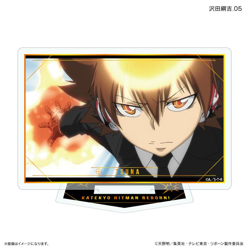 家庭教師HITMAN REBORN!（家庭教師REBORN！） DakeSta系列 沢田綱吉 亞克力立牌 7個裝完整BOX