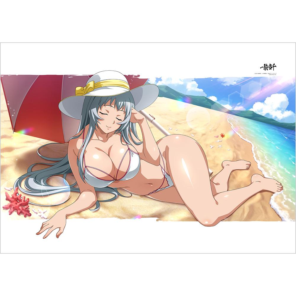 一騎當千（一騎當千） 趙雲子龍 海浪邊之華 被套