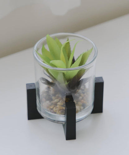 纖細仿真綠植生態瓶
