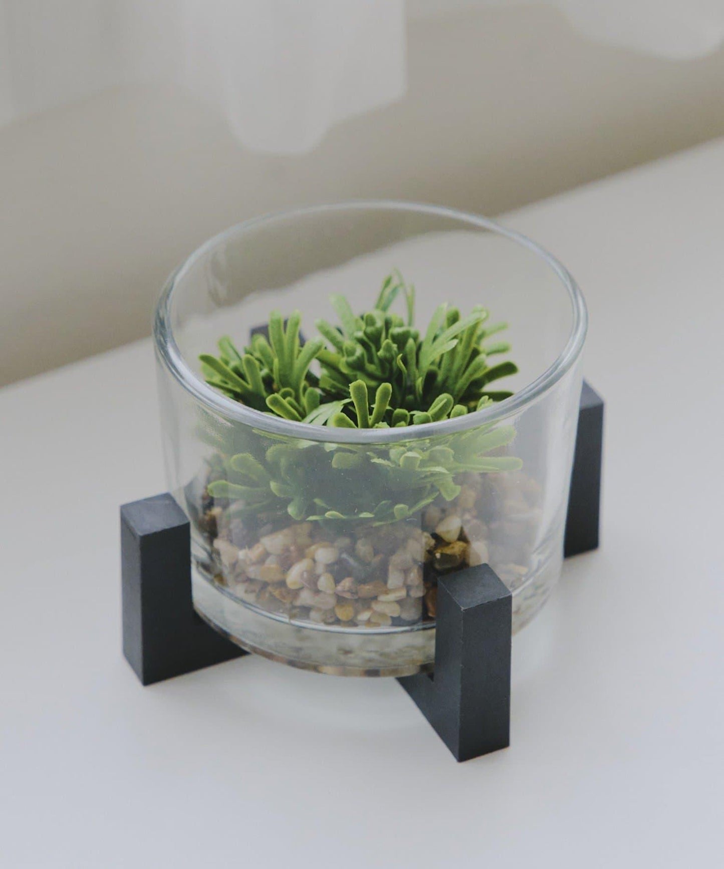 仿真綠植生態瓶