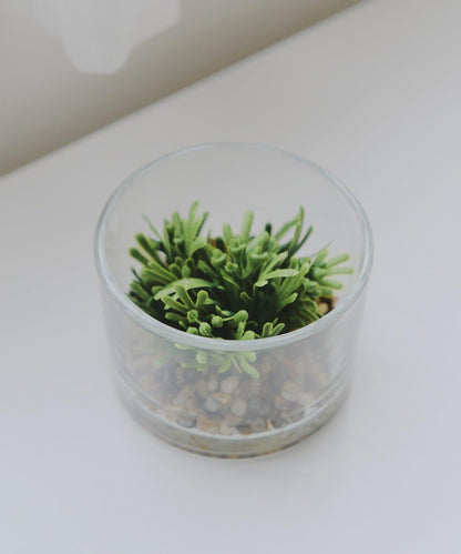 仿真綠植生態瓶