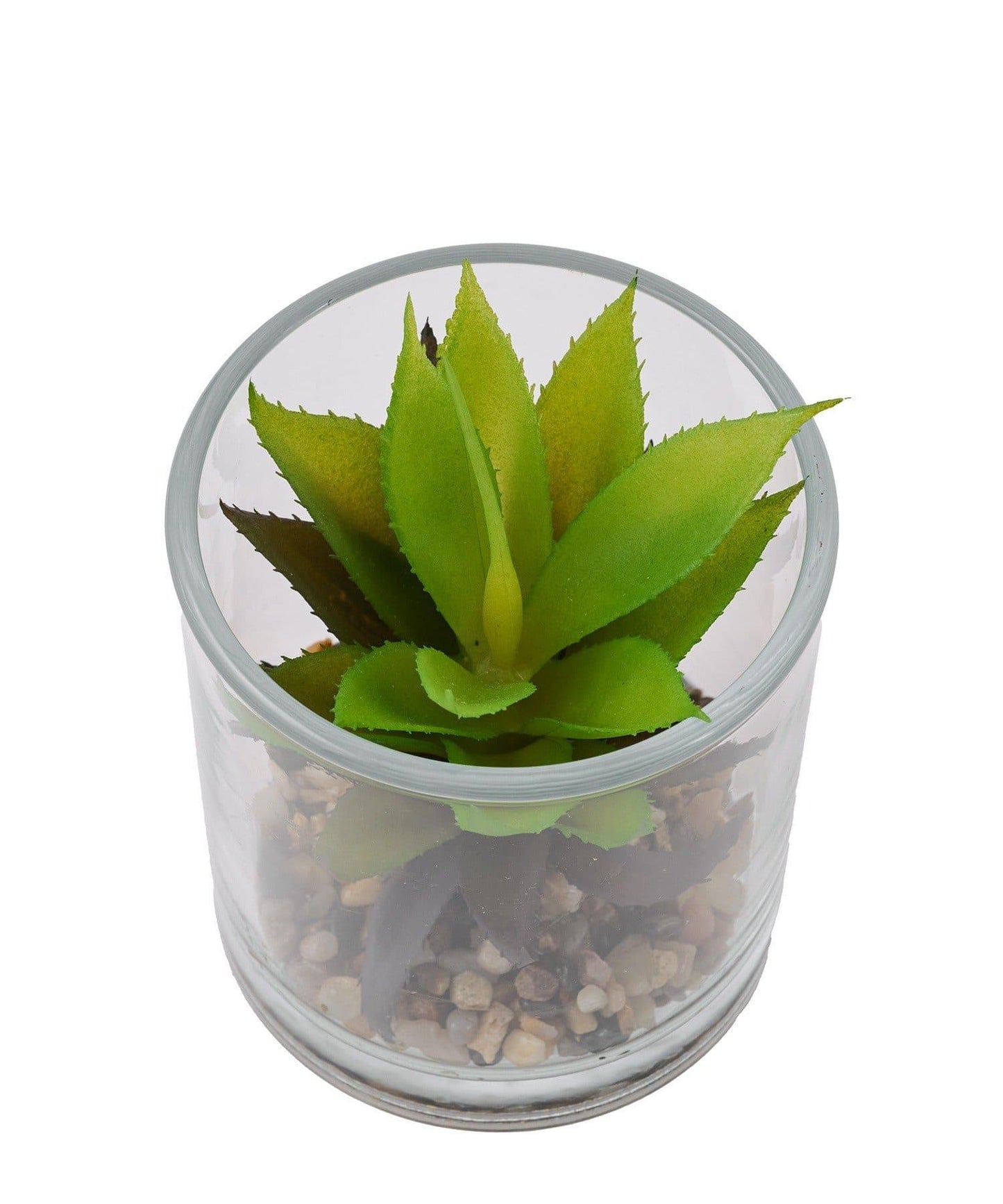 纖細仿真綠植生態瓶