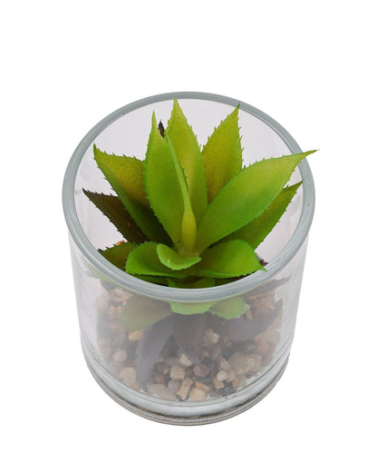 纖細仿真綠植生態瓶