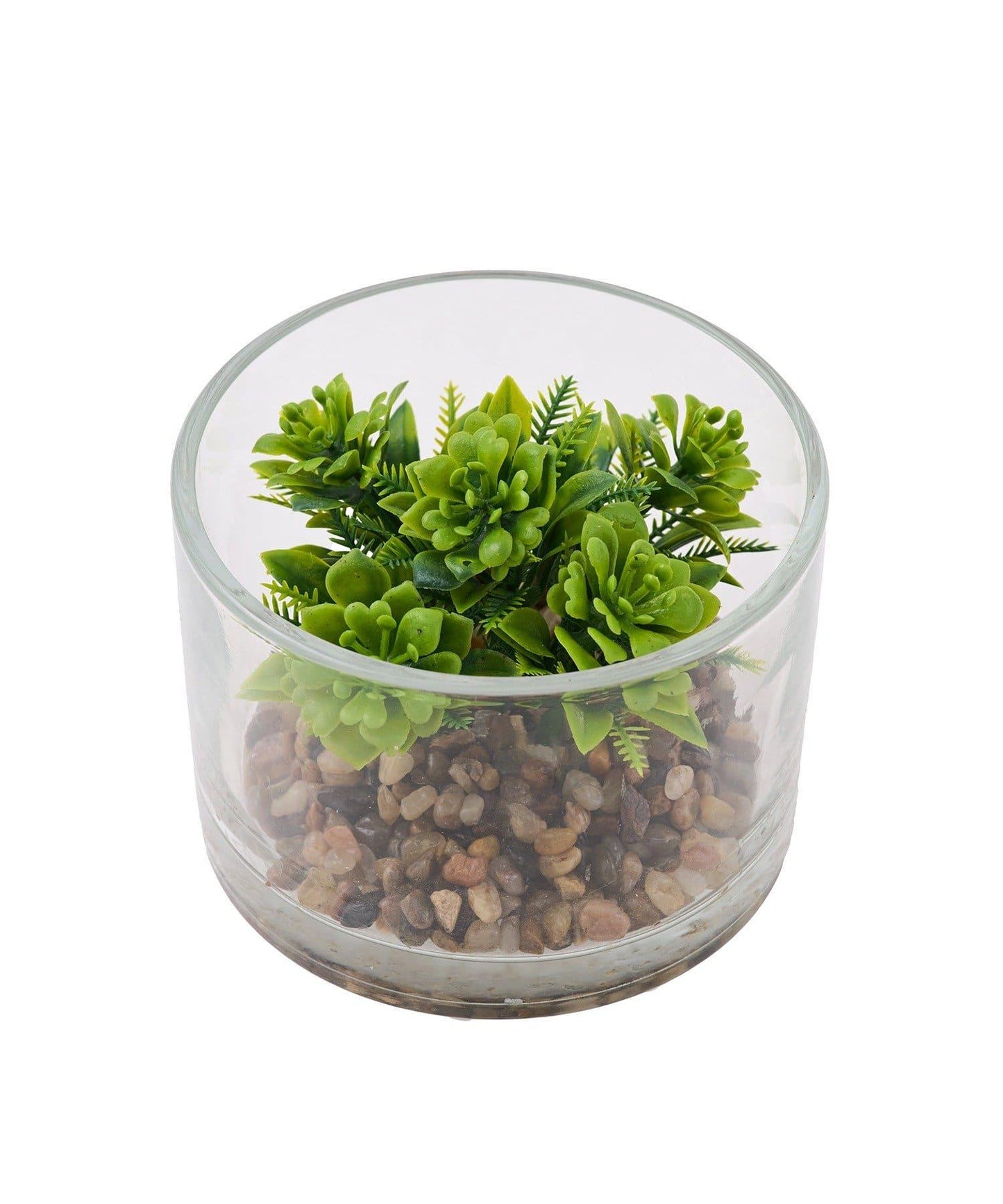 仿真綠植生態瓶