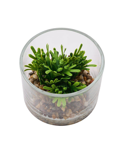 仿真綠植生態瓶