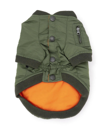 AVIREX MA-1 LOGO 狗服
