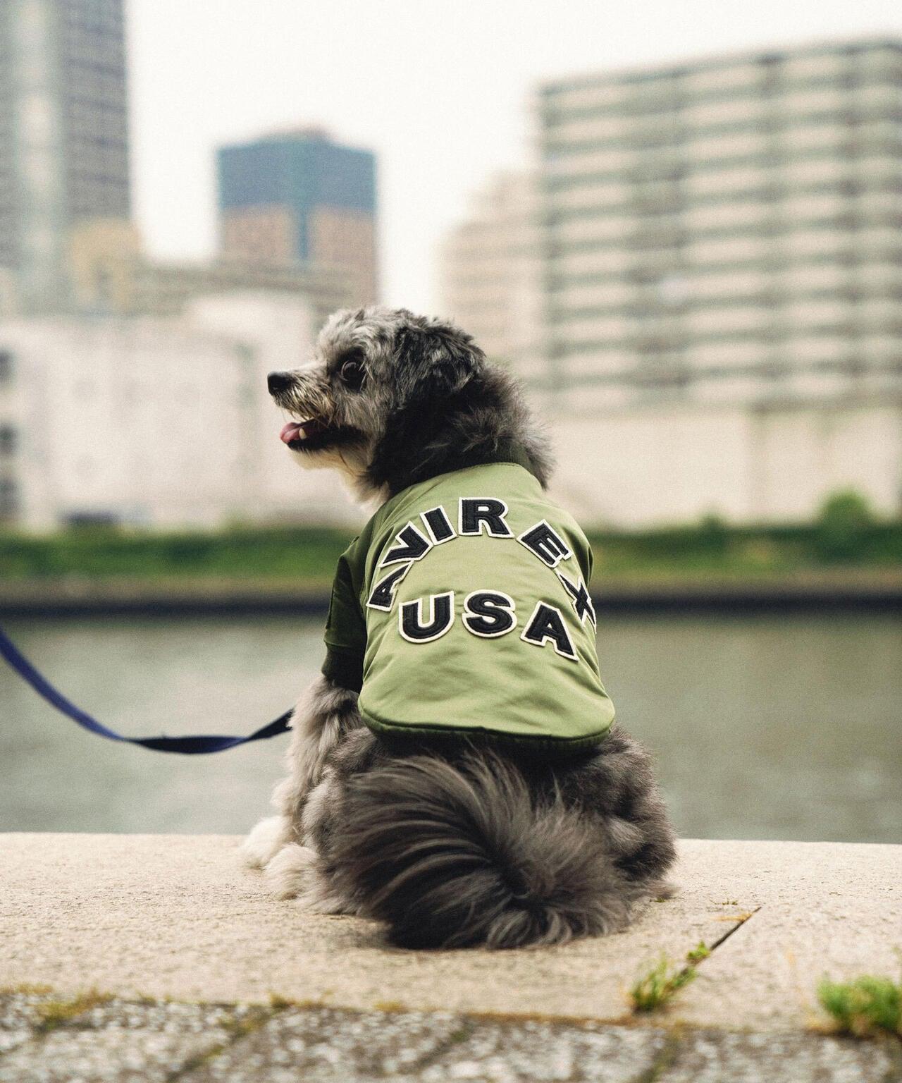 MA-1 LOGO 飛行員風 狗狗外套 寵物服