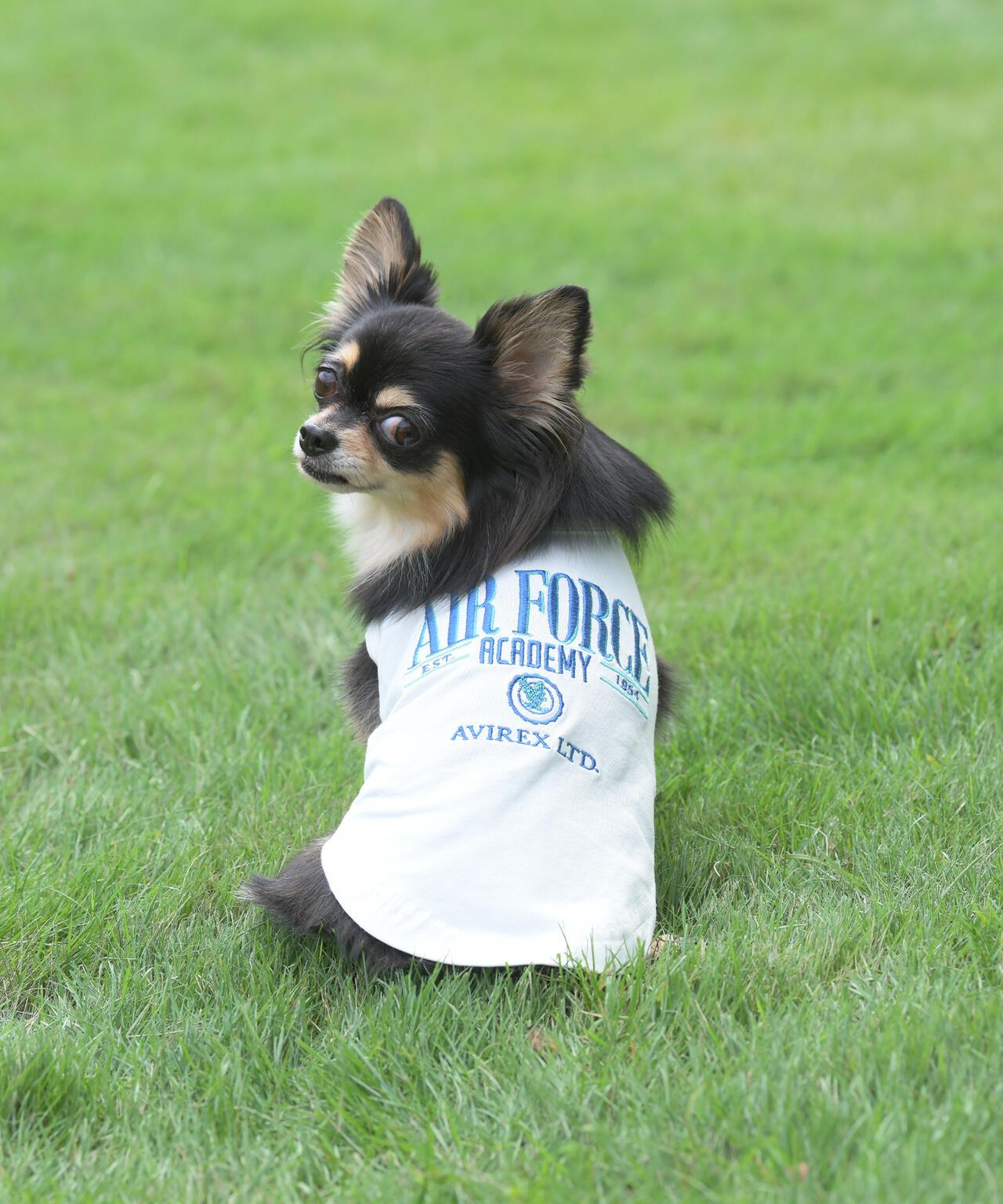 《DOG WEAR》 USAFA EMB 狗狗背心
